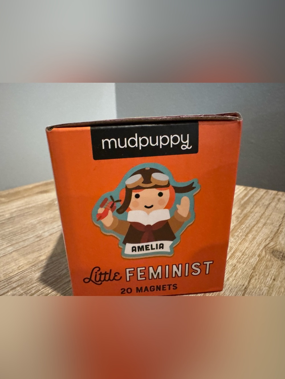 Little Feminist 20 Magnet Set - Picture 3 of 6
